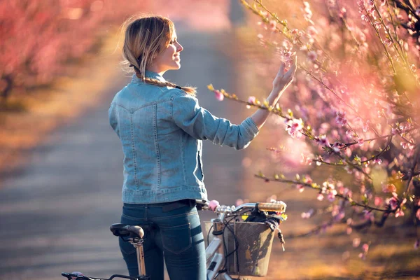 Pretty young woman with a vintage bike looking the cherry blossoms on the field in springtime. — 스톡 사진