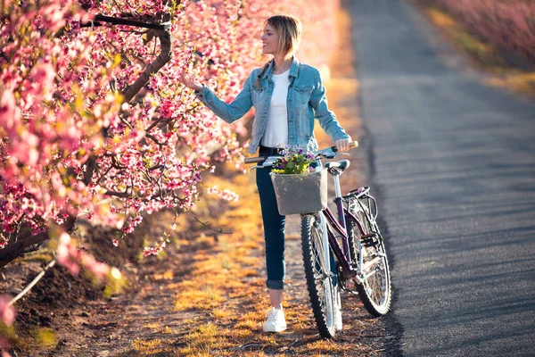Bella giovane donna con una bici d'epoca guardando i fiori di ciliegio sul campo in primavera . — Foto Stock