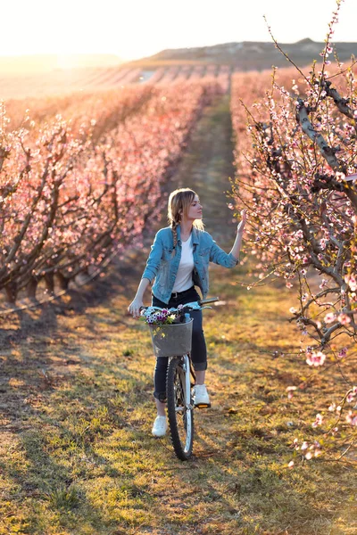 Pretty young woman with a vintage bike looking the cherry blossoms on the field in springtime. — 스톡 사진