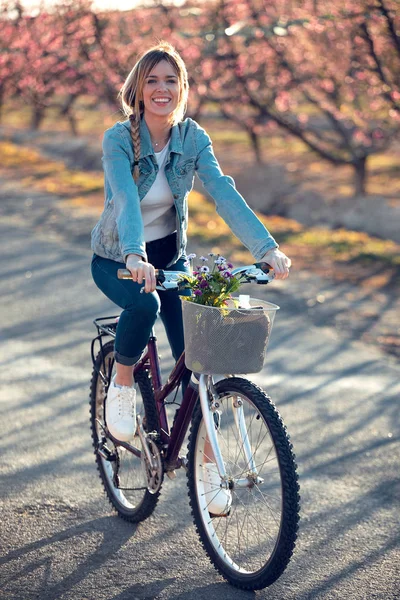 美しいです若いです若いです女性とともにヴィンテージ自転車見ますカメラで桜のフィールドで春. — ストック写真