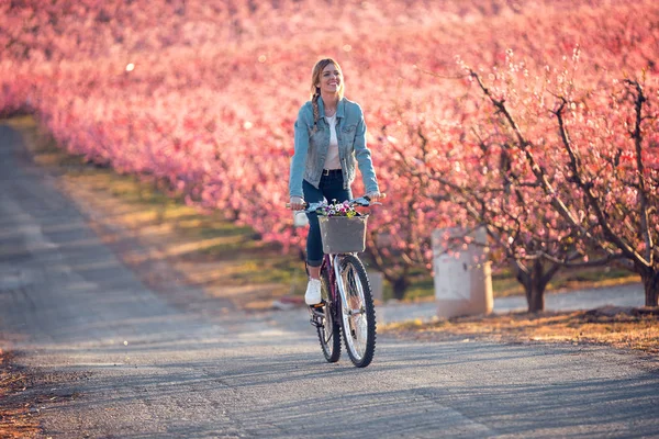 Ładna młoda kobieta jeździ wiosną na rowerze na polu wiśni. — Zdjęcie stockowe