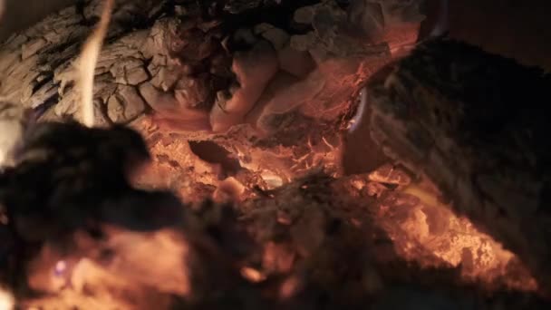 Close-up of warm cozy burning fire in a brick fireplace. — Stok video