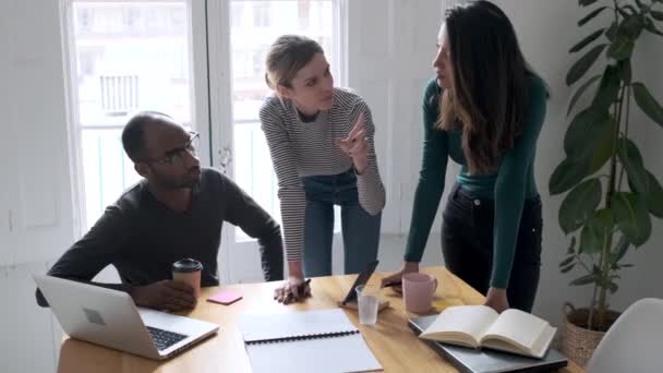 Vídeo Una Joven Emprendedora Explicando Proyecto Sus Colegas Sobre Lugar — Vídeos de Stock