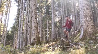 Video of hiker young man traveler with backpack doing trekking in the natural forest.