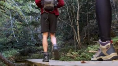 Video of two travel hikers with backpack walking while looking the landscape in the forest. Back view.