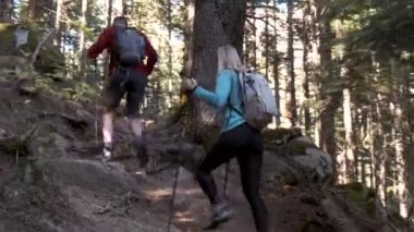 Video of two travel hikers with backpack doing trekking in the mountain. Back view.
