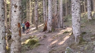 Video of two travel hikers with backpack walking while looking the landscape in the forest.