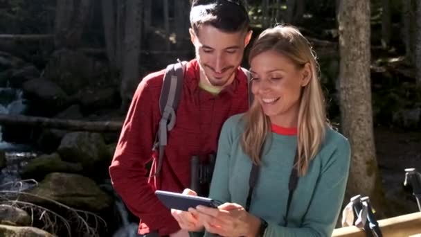 Video Two Travel Hikers Doing Consultation Your Mobile Phone Wood — 비디오