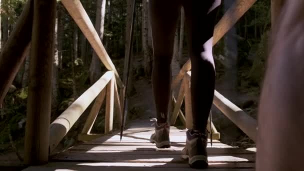 Nahaufnahme Von Zwei Wanderern Mit Rucksack Die Auf Der Holzbrücke — Stockvideo