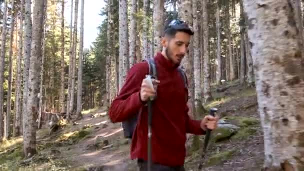 Video Excursionista Joven Viajero Con Mochila Haciendo Trekking Bosque Natural — Vídeos de Stock