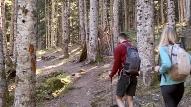 Nagranie Dwóch Wędrowców Plecakiem Spacerujących Lesie Widok Tyłu — Wideo stockowe