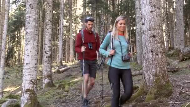 Video Two Travel Hikers Backpack Walking While Looking Landscape Forest — 图库视频影像