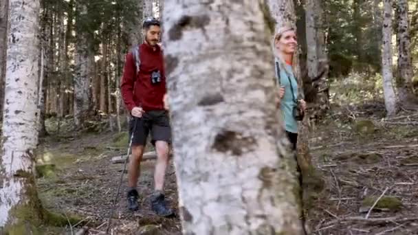 Video Two Travel Hikers Backpack Walking While Looking Landscape Forest — Stok video