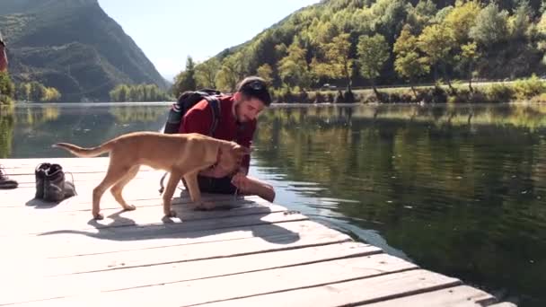 Видео Молодого Путешественника Рюкзаком Дающим Воду Собаке Озере — стоковое видео
