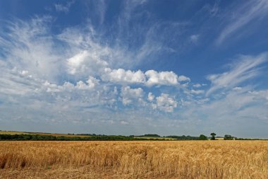 Lincolnshire Wolds tarım arazileri, İngiltere