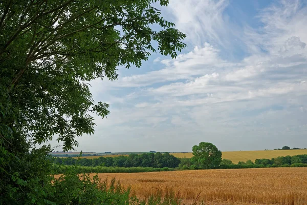 Lincolnshire Wolds landbouwgrond, Verenigd Koninkrijk — Stockfoto