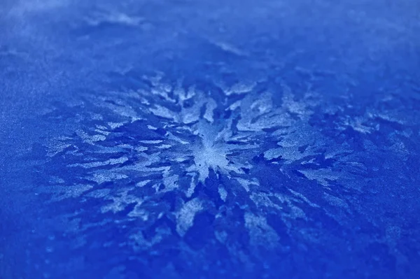 Flor de gelo azul — Fotografia de Stock