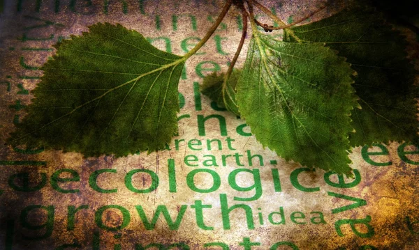 Ecologie tekst grunge concept — Stockfoto