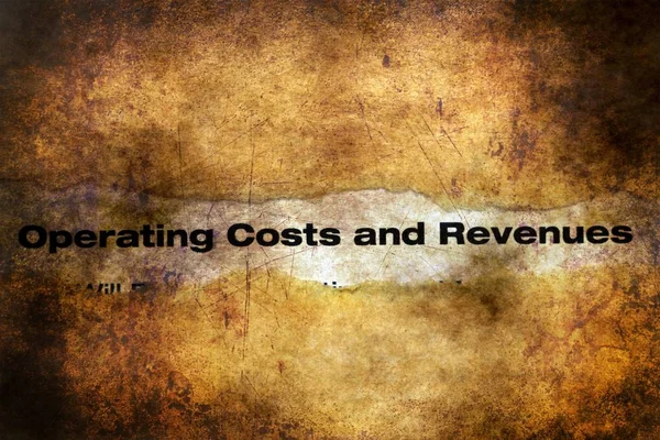 Operating costs and revenues grunge concept — Stock Photo, Image