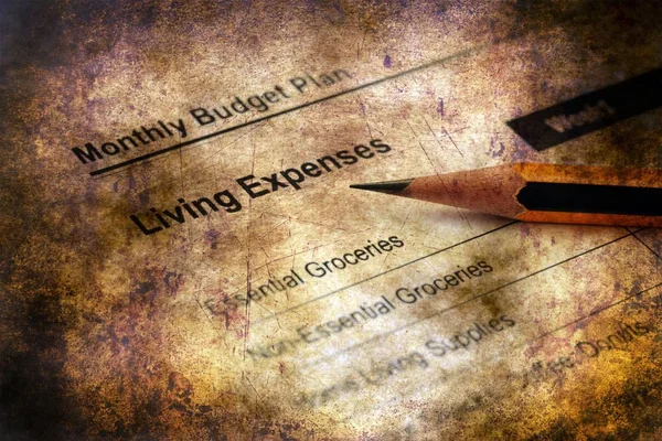 Plano orçamental Despesas de vida — Fotografia de Stock