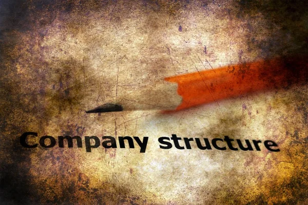 Company structure text on grunge background — Stock Photo, Image