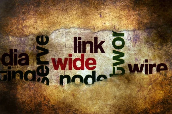 Web Link Grunge Concept — Stock Photo, Image