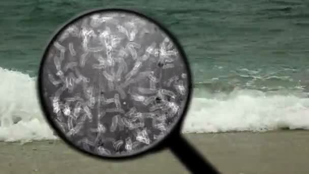 Buscando bacterias en el agua — Vídeo de stock