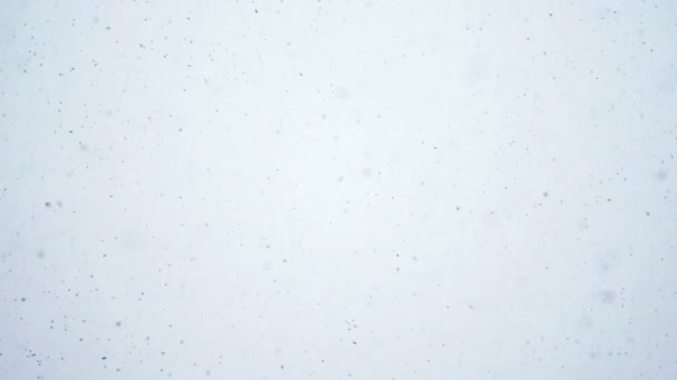 Echte sneeuw Slowmotion — Stockvideo