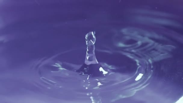 Water Drop And Ripple Slow Motion — Stock Video