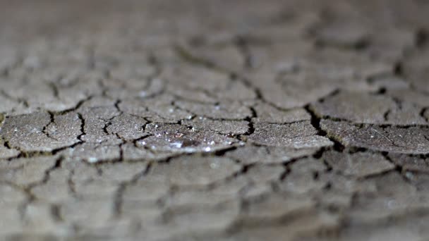 Gocce di pioggia sul terreno asciutto rallentatore — Video Stock