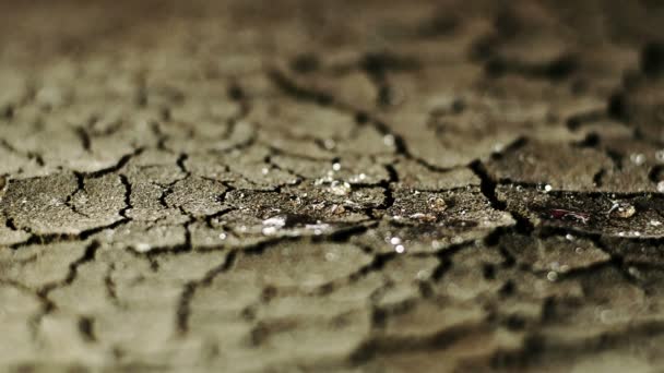 Krople deszczu na suchej glebie zwolnionym tempie — Wideo stockowe