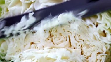 Lahana Dilimleme yakın çekim