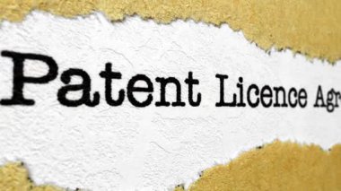 patent Lisans Sözleşmesi