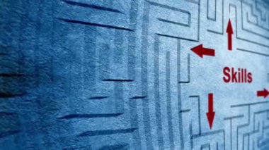 Beceri labirent kavramı