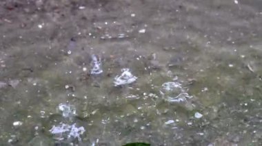 Su yavaş hareket üzerinde yağmur