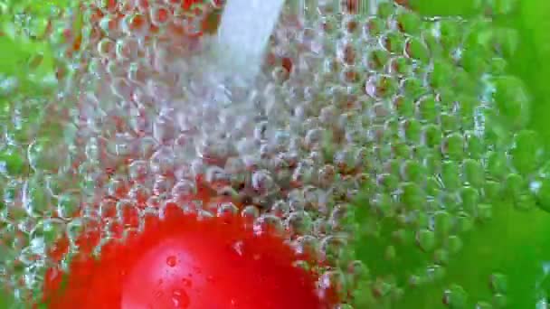 Wasser spritzt in Zeitlupe auf Tomaten — Stockvideo