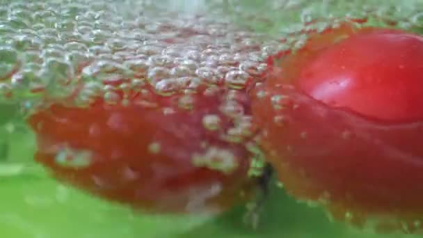 Água salpicando em tomates em câmera lenta — Vídeo de Stock