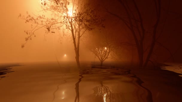 Arbres réfléchissant dans l'eau — Video