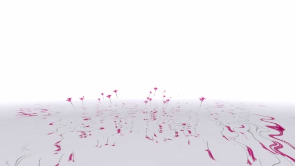 Réflexion des tulipes dans l'eau 