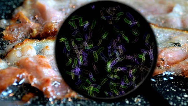 Zoeken naar bacteriën in vlees — Stockfoto
