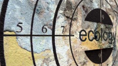 Ekoloji hedef grunge kavramı