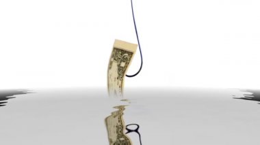 Balık kancasının üzerindeki dolar suya yansıyor
