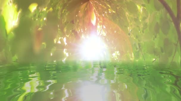 Surrealistiska gröna blad på träd reflekterar i vatten — Stockvideo