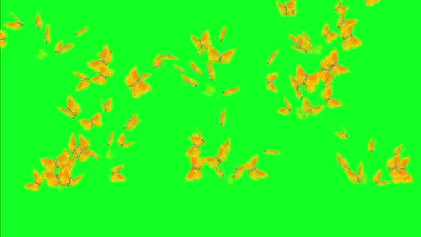 Muchas mariposas que vuelan en pantalla verde — Vídeo de stock