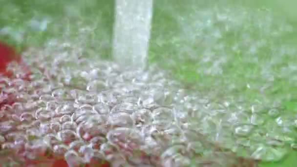 Una gran cantidad de bacterias en el agua — Vídeo de stock