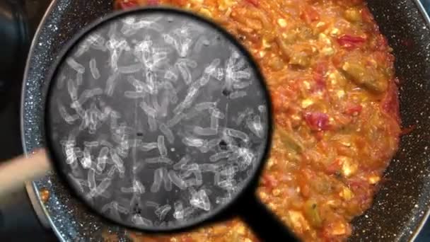 Búsqueda de bacterias en los alimentos — Vídeo de stock