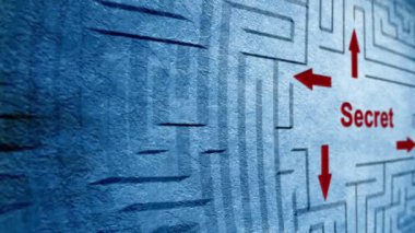 Gizli labirent kavramı