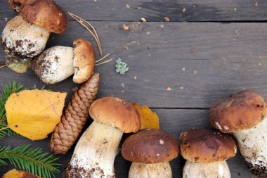 ahşap arka plan üzerinde mantar çörek