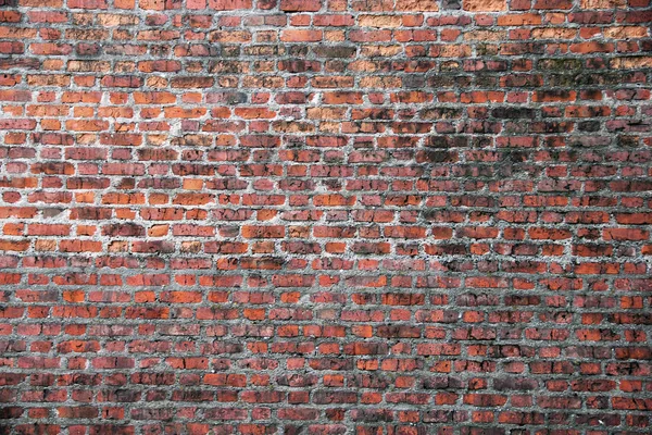 Textura de pared de ladrillo rojo viejo — Foto de Stock