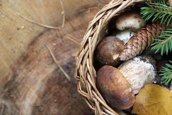 ahşap arka plan üzerinde mantar çörek